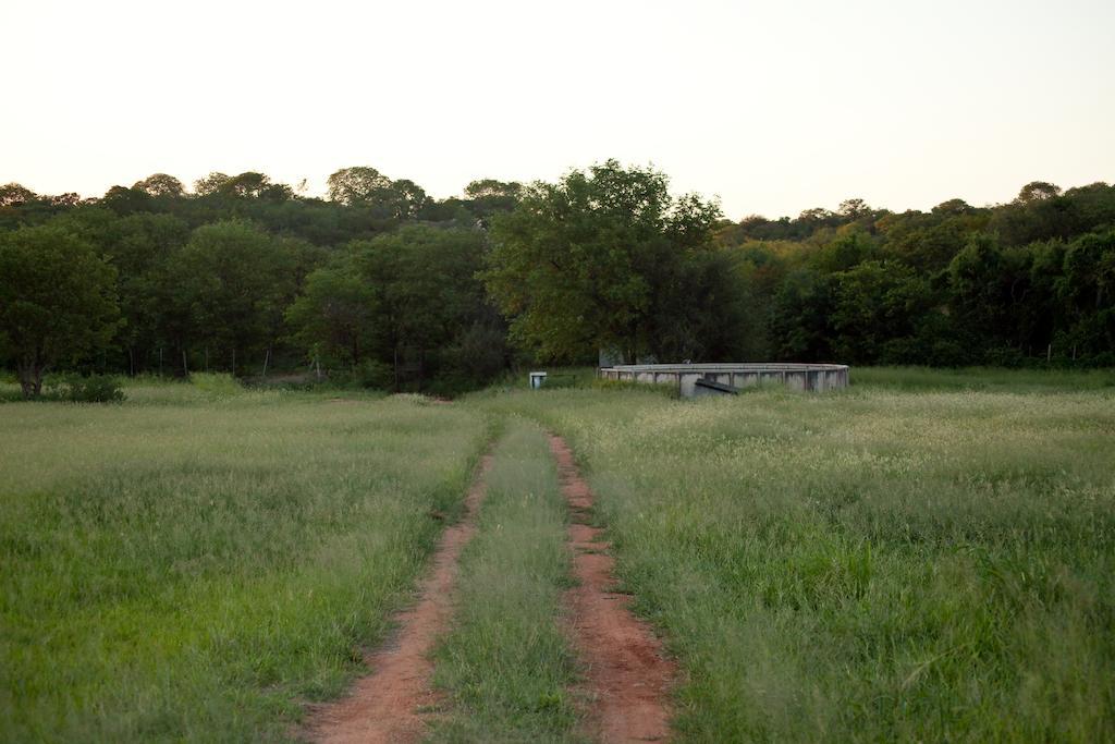 Adansonia Eco Lodge มูซินา ภายนอก รูปภาพ