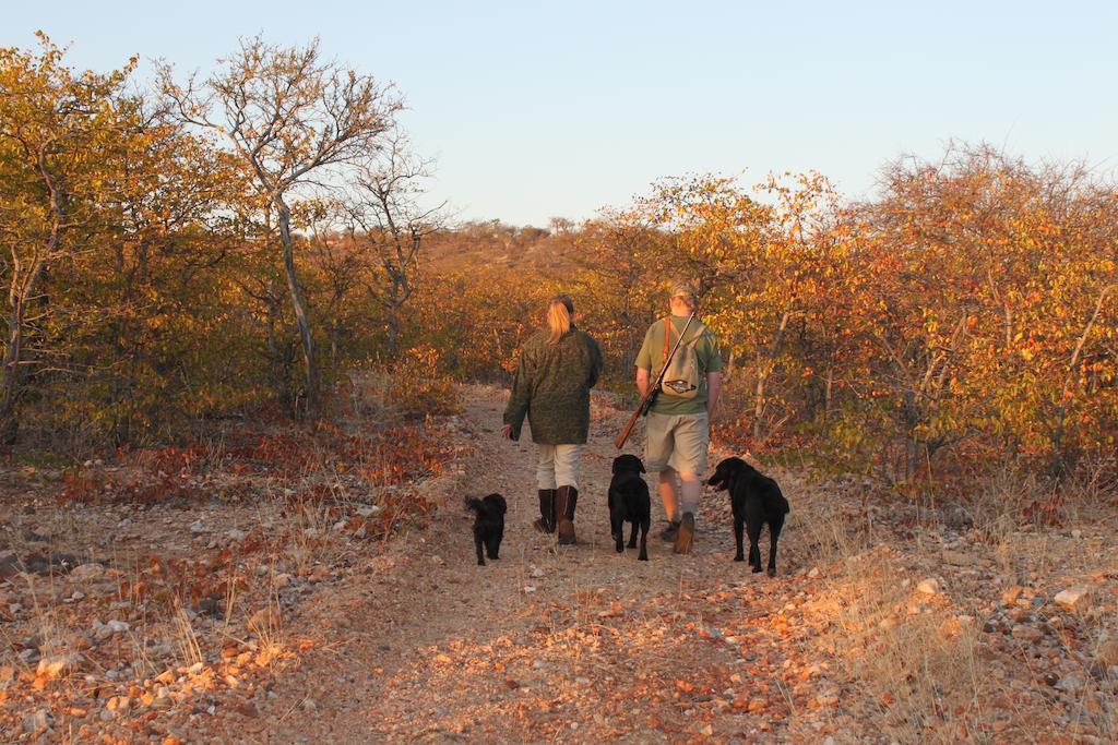 Adansonia Eco Lodge มูซินา ภายนอก รูปภาพ