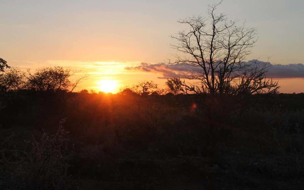 Adansonia Eco Lodge มูซินา ภายนอก รูปภาพ