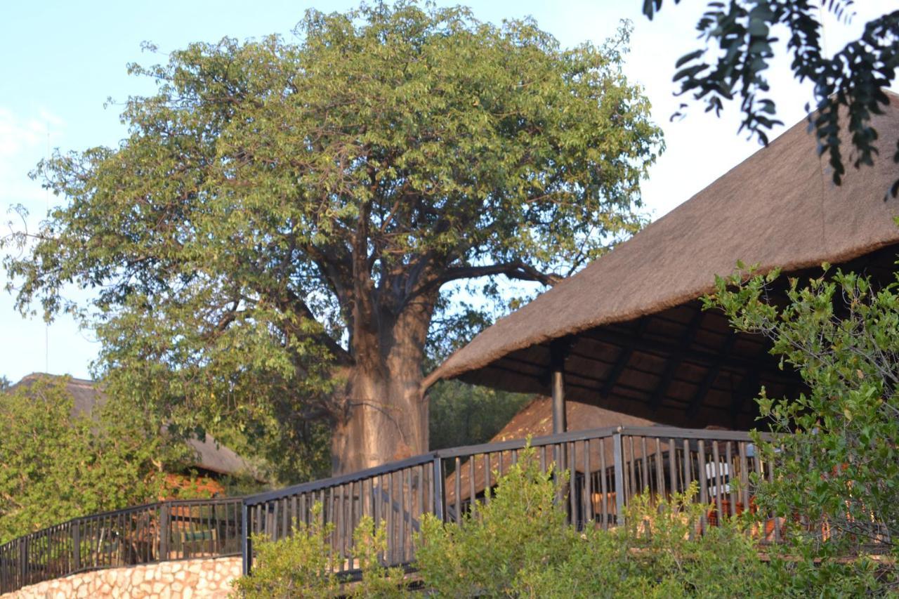 Adansonia Eco Lodge มูซินา ภายนอก รูปภาพ