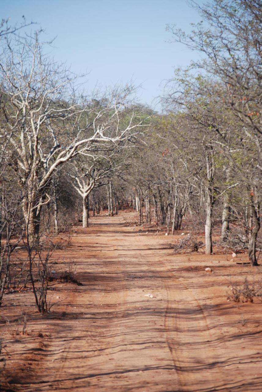Adansonia Eco Lodge มูซินา ภายนอก รูปภาพ